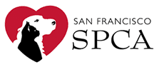 Read more about the article San Francisco SPCA and Macy’s Unveil Holiday Windows