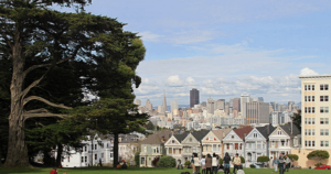 Read more about the article A Superb Owl In Alamo Square