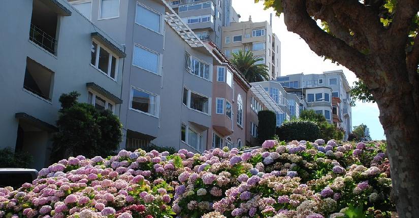 russian hill houses for sale