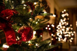 Which Should I Buy: Real or Artificial Christmas Tree?