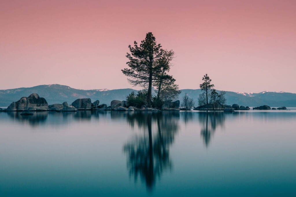 Tree reflecting in the water of Lake Tahoe