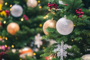 Read more about the article The Emperor’s New Tree