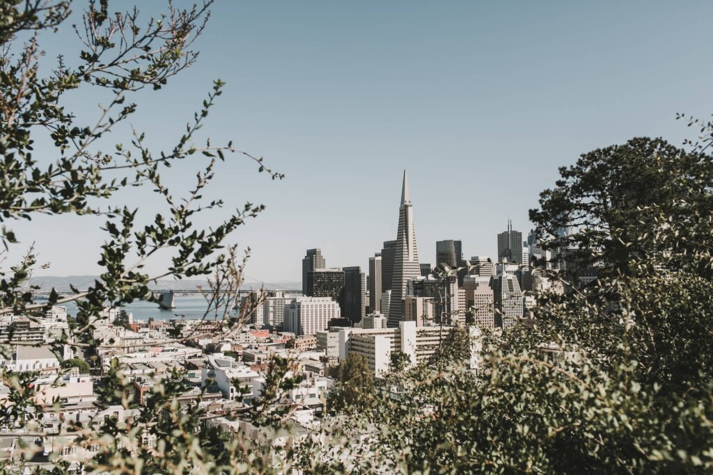 downtown San Francisco real estate seen through the trees
