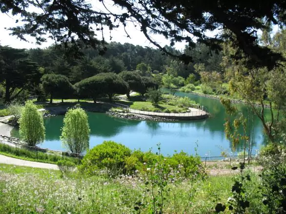 Glen Canyon Park with Large Lake, Green Space, and Walking Paths