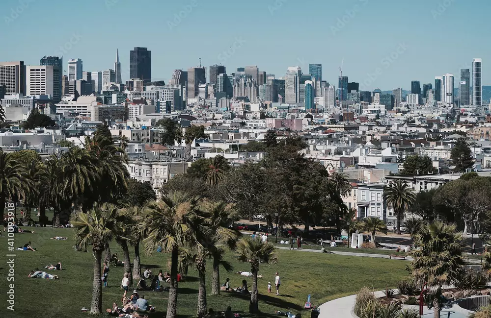 View of San Francisco from Mount Olympus with Palm Trees and Downtown Buildings
