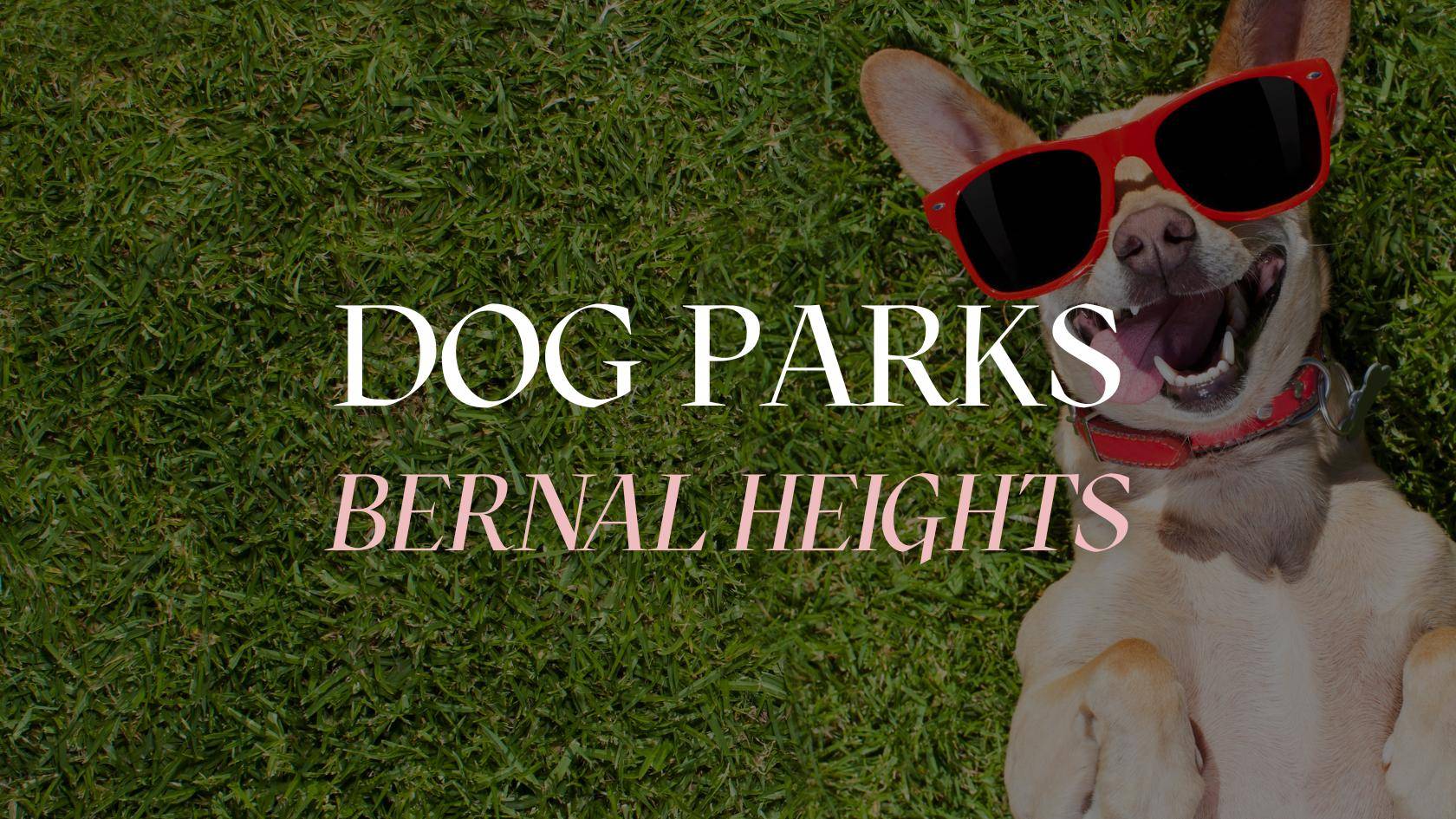 Dog Parks in Bernal Heights