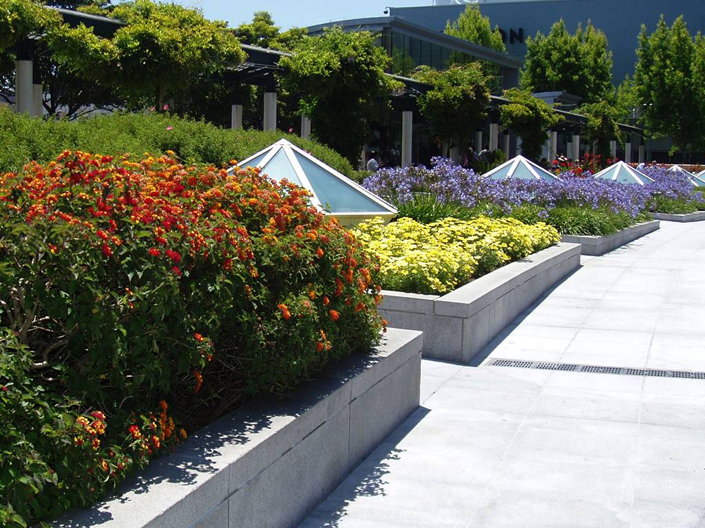 Walkway Lined with Concrete Planter Boxes Filled with Red Orange, Yellow, and Purple Flowers