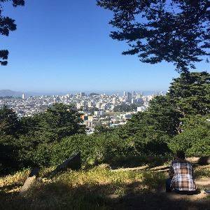 Panoramic view of San Francisco skyline from shaded hillside at Buena Vista Park