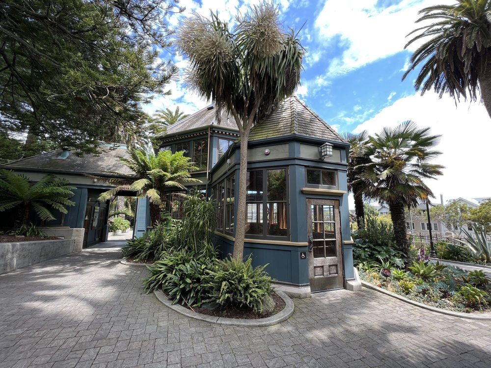 Exterior view of the Sunnyside Conservatory banked by palm trees and with light grayish brick paved driveway intro entrance