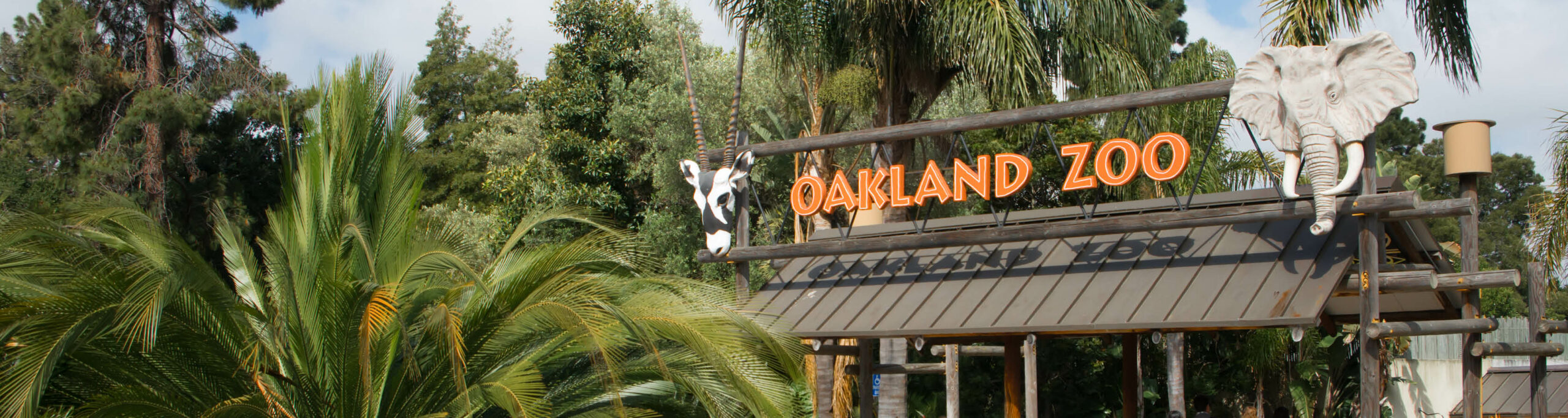 Entrance of the Oakland Zoo signage and entry with palm trees and a zebra and elephant statue mask