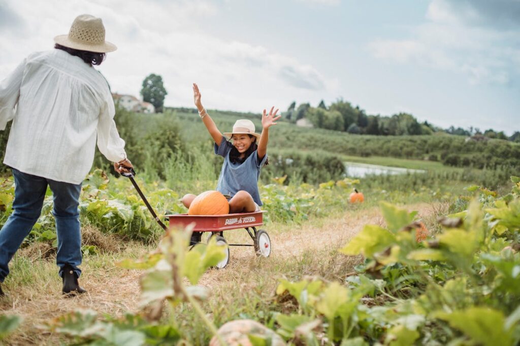 fall things to do and pumpkin patch for families in san francisco real estate agents