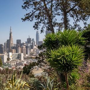 Hilltop views of greenery and trees overlooking the downtown San Francisco skyline from Ina Coolbrith Park