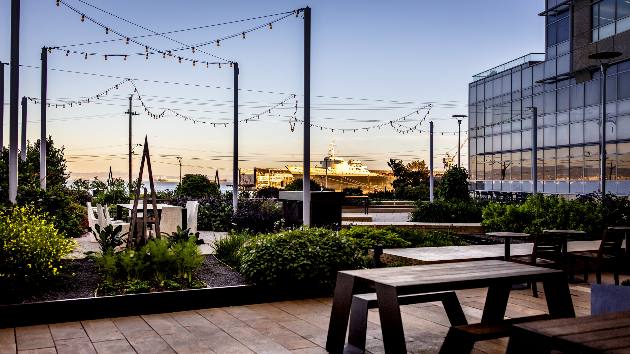 Outdoor Brick-Pavered Dining Patio with Long Wooden Tables, String Lights, and Greenery that overlooks the San Francisco Bay, photographed at dusk