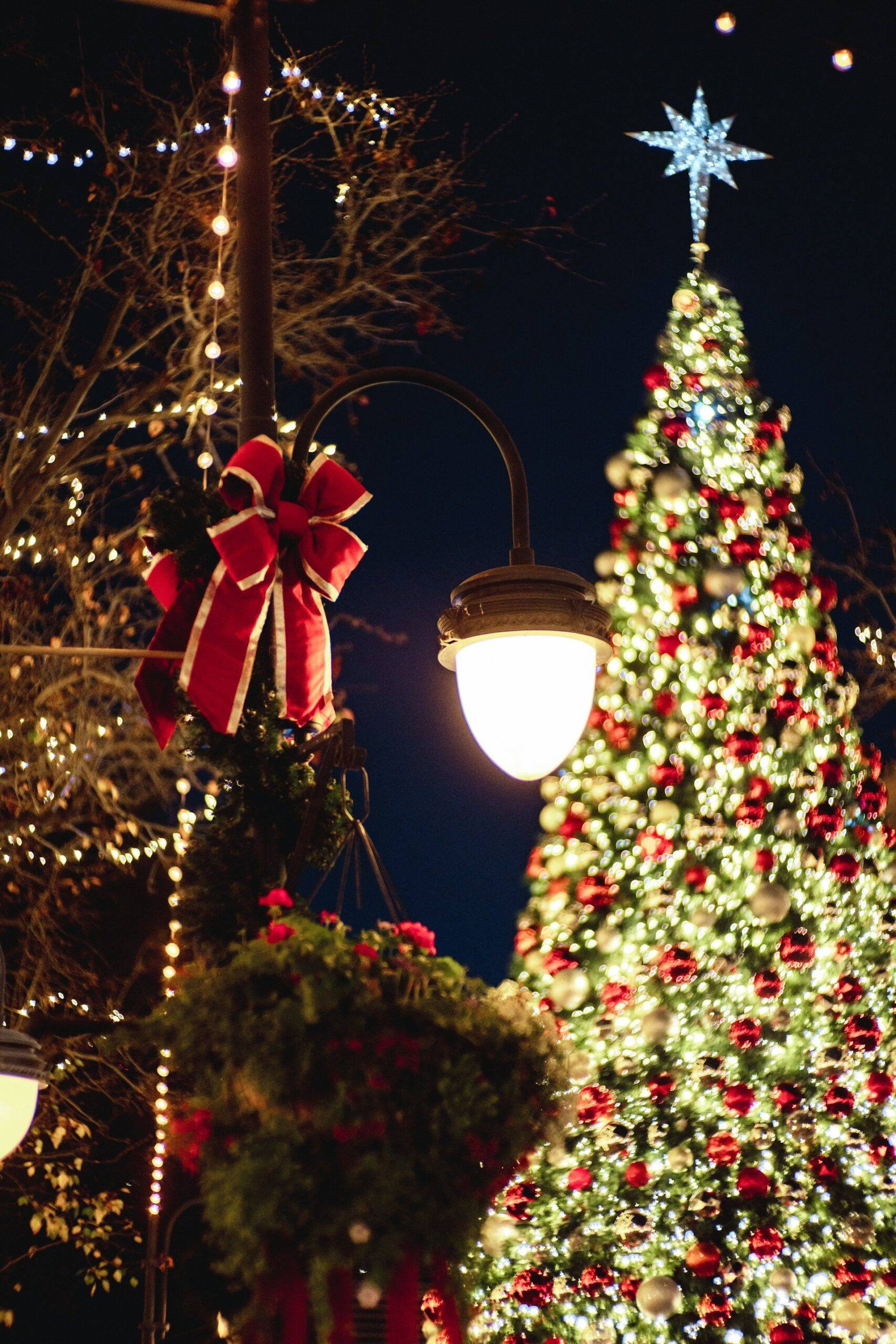 Holiday Events and Light Displays Around Bernal Heights