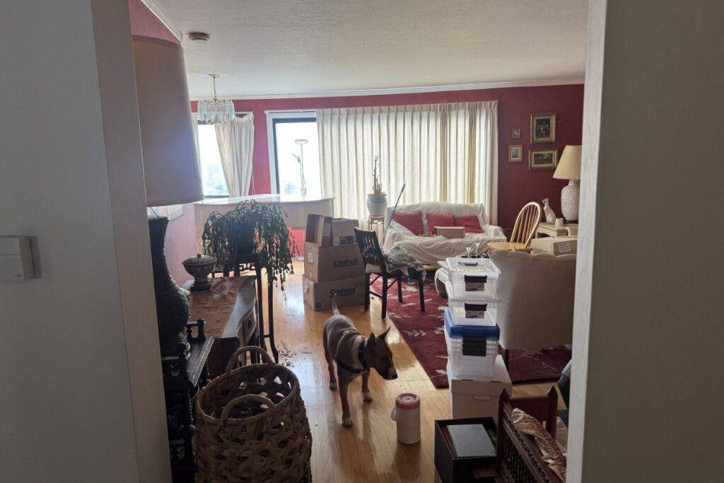 Living Room Before - selling a home in San francisco Miraloma Park