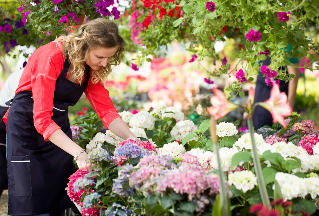 Where to Find Florists in and Around Mission Dolores