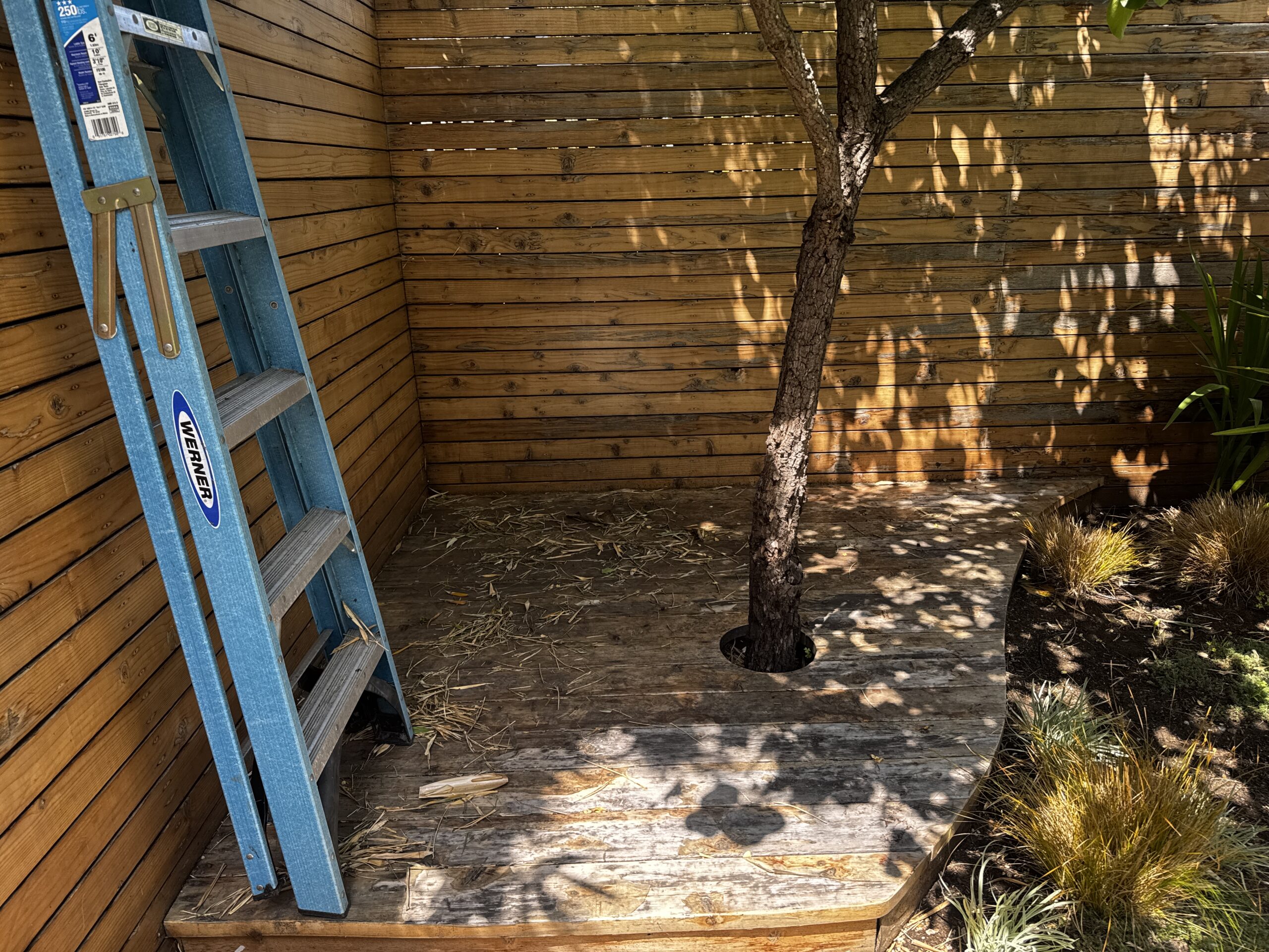Corner of the rear deck before prep, with a tree growing through the deck boards, a horizontal wood fence, fallen leaves, and a ladder leaning on the fence