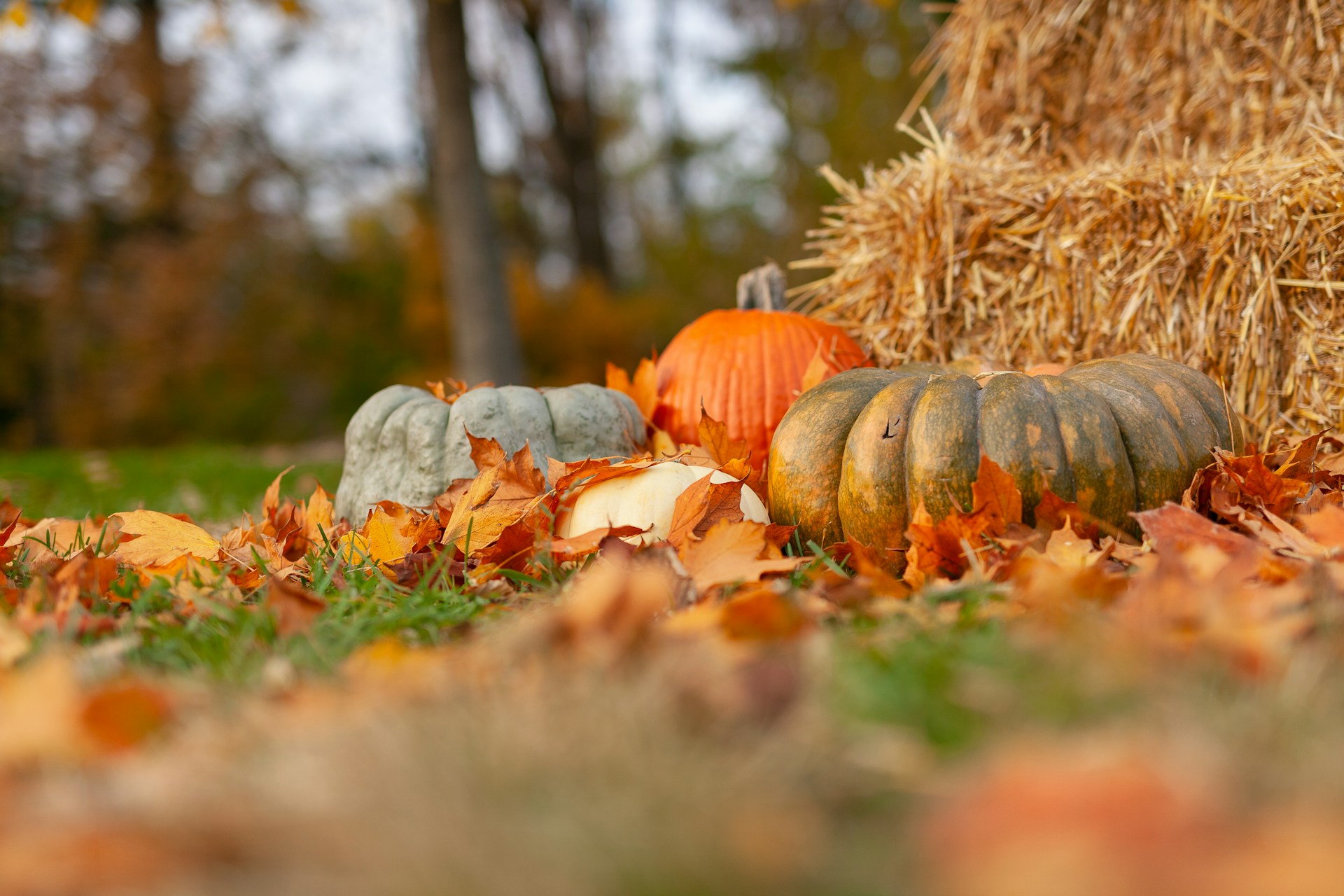 Things to Do in Bernal Heights This Fall 2026
